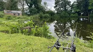 Return to Belmont . Carp fishing