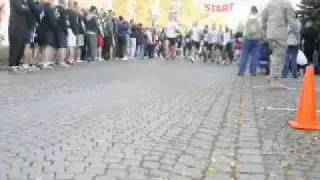 Running of the Herd