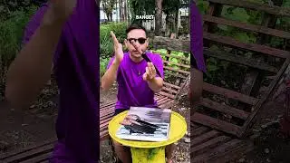 a set of kitchen knives #shortvideo #sorts #kitchenknives