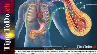 Molekularer Wasserstoff die Trinkwasser (R)Evolution, TimeToDo.ch 26.10.2016