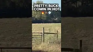Pretty ole buck comin in hot! 🔥🦌💨 - #shorts #deer #jesus 