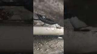 Tesla S 2013 12v battery problem - Check abs connection