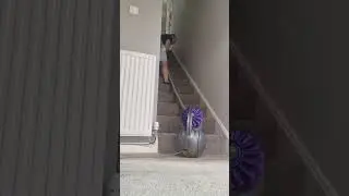 Dyson DC37 - Downstairs Cleaning