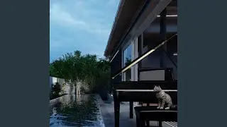 Cat Jazz Melody