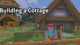 Starting A Forest Town