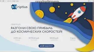CRIPTIUS COM   ЭКОНОМИЧЕСКАЯ ФЕРМА ВИДЕОКАРТ