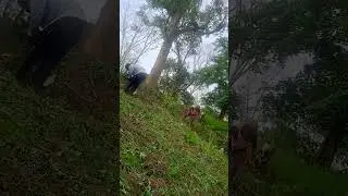we the nongkyndong people #pnar #video @bashida muiai sari❤️ nongrep #rnp