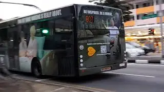 SBS8815P(SEDEP) On Service 807 At Yishun Avenue 5