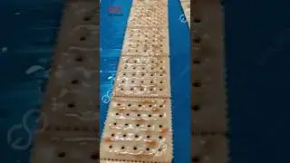 Fully Automatic Soda Cracker Production Line #machine #food