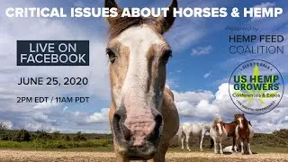 HFC Discussion: Critical issues about Horses & Hemp