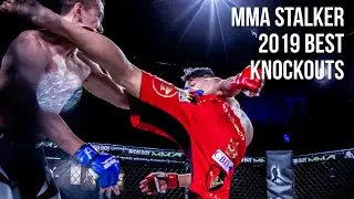 MMA Stalker 2019 | Best Knockouts