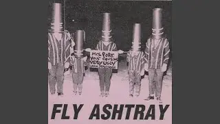 Dolphin Brain (Live)