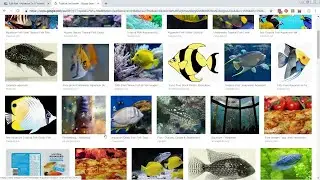 Setting Up The Blog - Building a Business Website Using WordPress