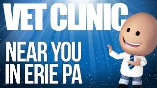 Find A Vet Clinic Near Me Erie Pa
