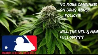 ⚾️ MLB takes Marijuana(Cannabis) off the Drug Abuse Policy🙌🏿NBA & NFL Next??