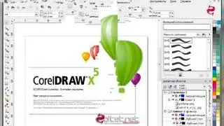 Corel Draw # Tool box # Theory Exam  Revision