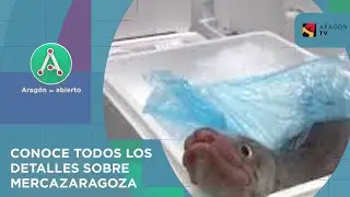 Mercazaragoza distribuye a Aragón, Navarra, La Rioja y parte de Soria