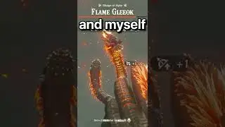 Flame Gleeok No Hit No Paraglider!