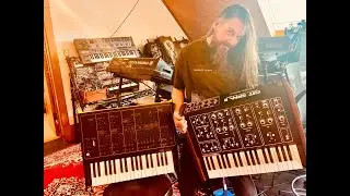 FINALLY! The ARP Odyssey vs Octave Cat synth comparison 