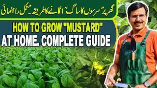 How to grow 