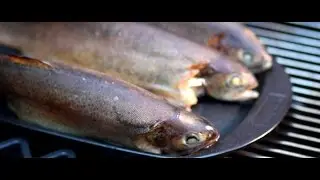 Rauch-Forelle vom Grill (Rostkost.de)