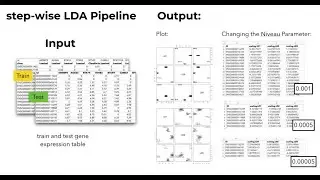 Supervised Machine Learning: Feature Selection Methods: swLDA and RF on T-Bioinfo Platform