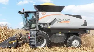 GLEANER S97 CENTENNIAL EDITION Harvesting Corn | CORN HARVEST 2024