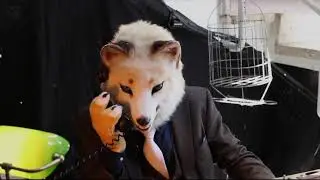 Furciety 2025 Glück Auf! (mal alles aus der Perspektive eines kleinen Fuchses)