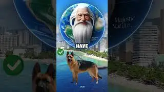 Part 24 - Quiz about animals #shorts #animals #quiz