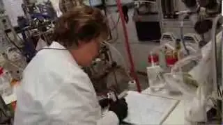 California Research Improves Crops - America's Heartland