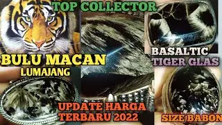 ITEM COLLECTOR BATU BULU MACAN / BASALTIC GLASS || SIZE BABON || WA 0857-7285-9204