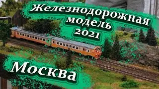 Фестиваль 