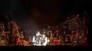 The RUM TUM TUGGER new - Marcquelle Ward Budapest 2016 -2017