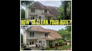 How to Remove Black Roof Stains | Proper Roof Cleaning Method