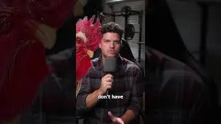 Как петухи не повреждают уши, когда кукарекают 🐓🔊