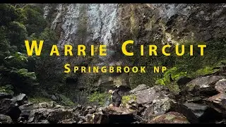 Warrie Circuit, Springbrook NP. June 2025