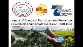 Impact of Chemical Fertilizers and Pesticides on Vegetable & Fruit Growth and Human Health Risks