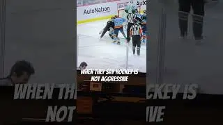 When they say Hockey , not aggressive