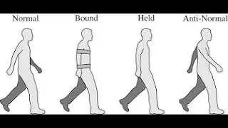 Science fact- Why Do We Swing Our Arms When We Walk?