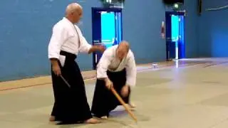 Terry Ezra Shihan Teaching Weapons II