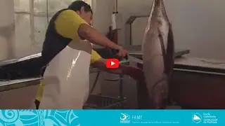 COASTAL FISHERIES TRAINING | 2.3 - Quarter loining of albacore tuna