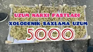 ОЛТИАРИҚ УЗУМ БОЗОРИ