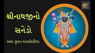 shrinathji no sanedo I શ્રીનાથજીનો સનેડો I સનેડો