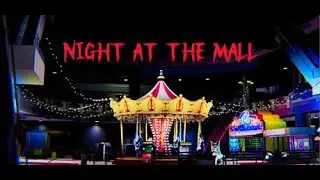 Night At The Mall
