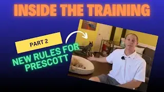 Breaking Bad Habits of a Rescue Dog: Part 2/Day 1 - Board and Train  #viral #foryou #rescuedog