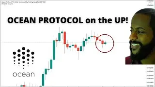 OCEAN PROTOCOL Rising | Crypto Market Hanging | Cryptocurrency Altcoin News | Chainlink in Trouble