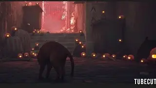 Stray- Exploring the Unknown/ What are these creepy bug robots?!