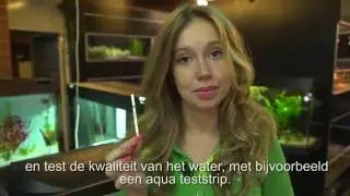 Tipclip: Aquarium inrichting