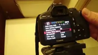 Is Custom White Balance on the Canon T2i 550D Applied to RAW?