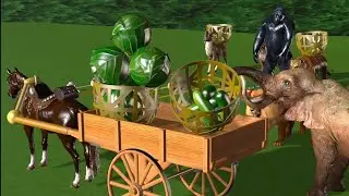 Vegetable's name learning for kids with Wild animals | Farm Garden cartoon for kids